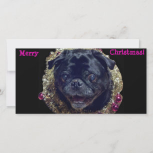 Crazy Christmas Pug photo card