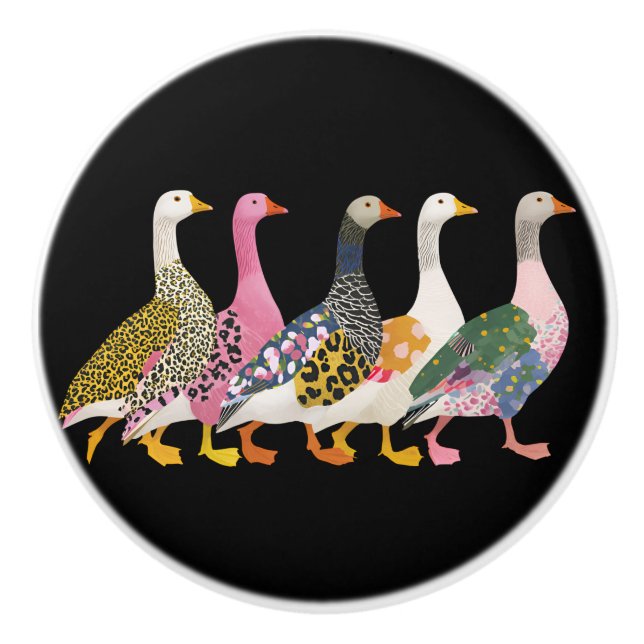 Crazy Colourful Geese Ceramic Knob (Front)