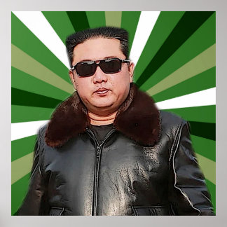 crazy cool kim poster