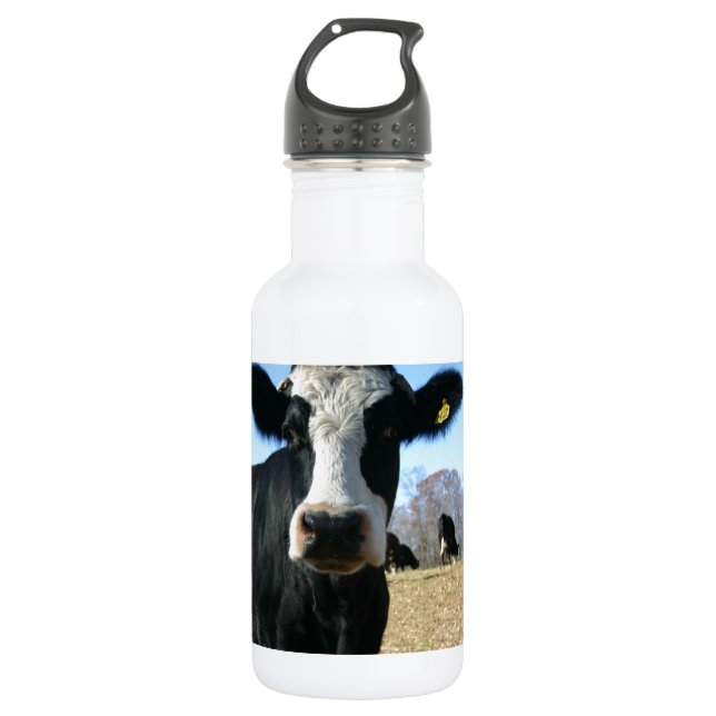 Crazy Cow 532 Ml Water Bottle (Front)