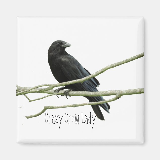 Crazy Crow Lady Magnet (Devant)