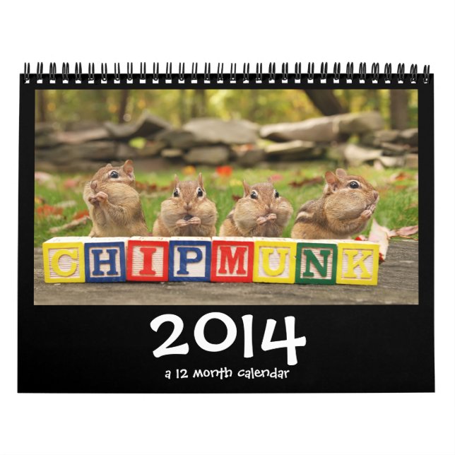 Crazy Cute Chipmunks 2014 Calendar (Cover)