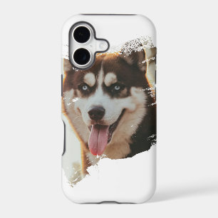 Crazy Dog Design