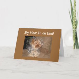CRAZY DOG HAIR "40th" BIRTHDAY Card