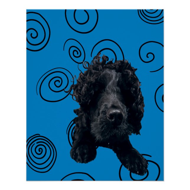 Crazy Dog Poster (Front)