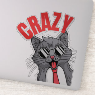 Crazy... Explore the many moods of the cat     