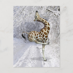 Crazy Giraffe Playing In Snow Postcard