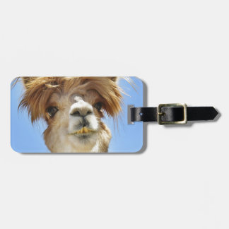 Crazy Hair Alpaca Luggage Tag