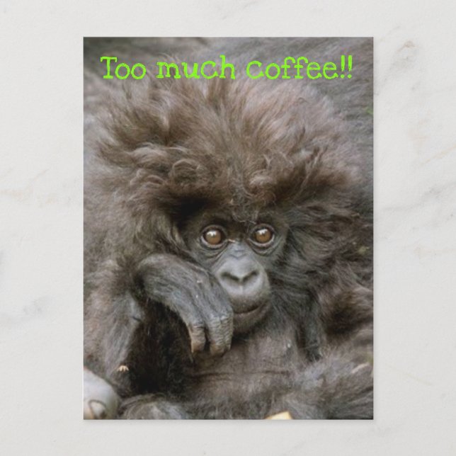 Crazy Hair Monkey Too Much Coffee Postcard (Front)