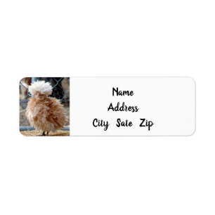 **CRAZY HAIRED CHICKEN** RETURN ADDRESS LABEL