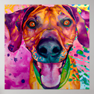 Crazy Happy Rhodesian Ridgeback Dog Portrait Art Poster