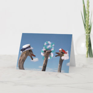 Crazy Hat Day at the Races Card