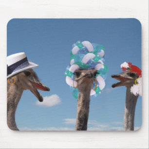 Crazy Hat Day at the Races Mouse Pad