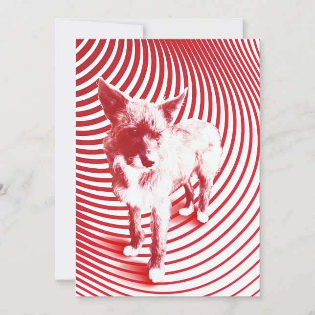 crazy hazie invitation (Front)