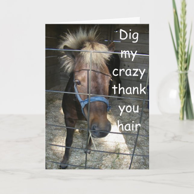 CRAZY HORSE THANK YOU CARD (Front)