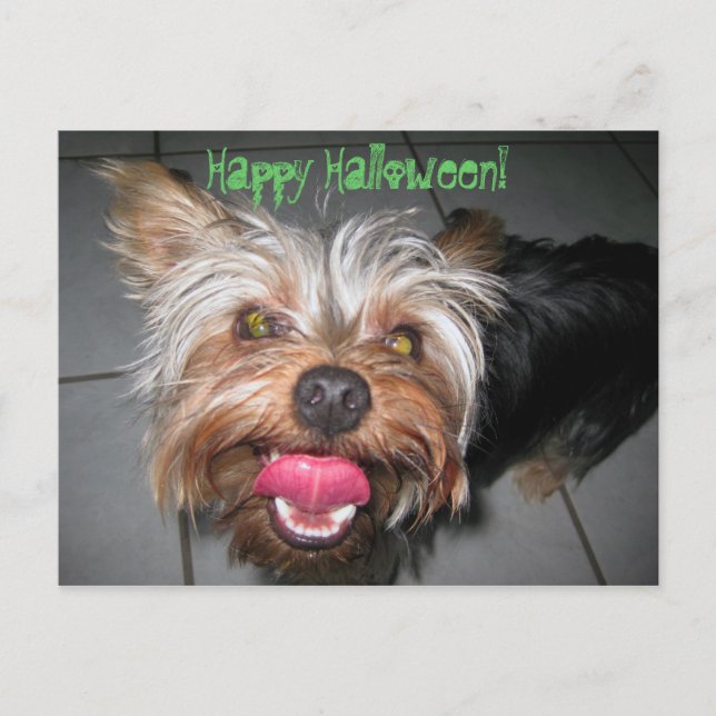Crazy Jasper ~ Carte postale (Devant)