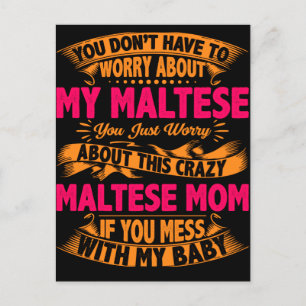 Crazy Maltese Mom Postcard