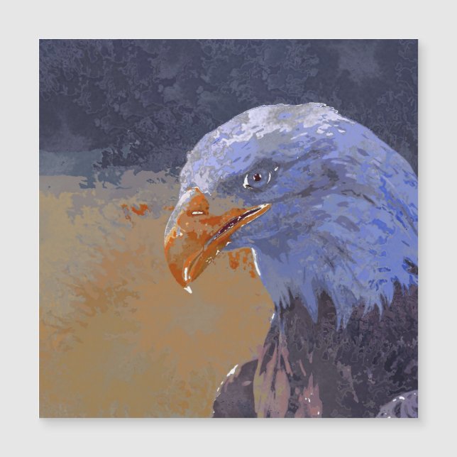 crazy Paint - Eagle (Front)