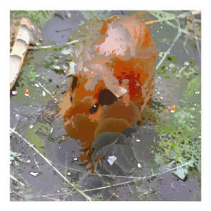 Crazy Paint - Guinea Pig Photo Print