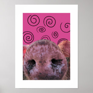 Crazy Pig Poster