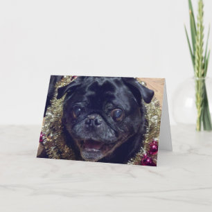 Crazy Pug Christmas Card