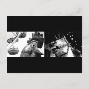 Crazy Rooster, meet Crazy Horse Postcard