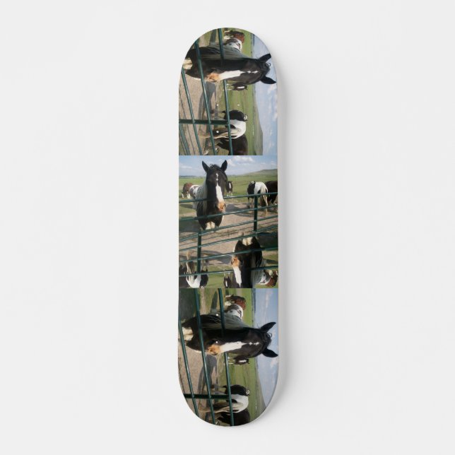 CrAzY Sk8 Horse Skateboard (Front)