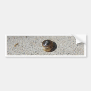 Crazy Snail Bumper Sticker