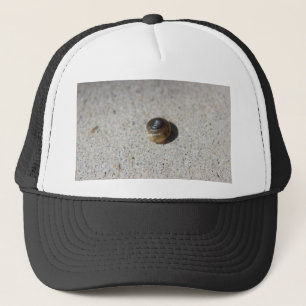 Crazy Snail Trucker Hat