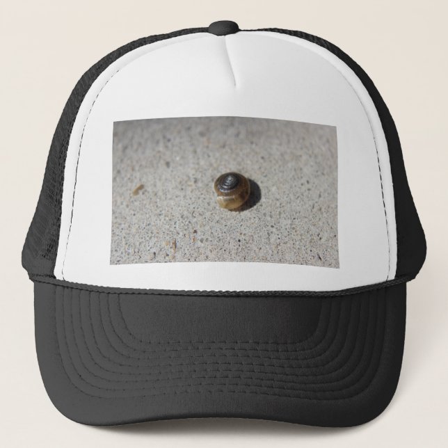 Crazy Snail Trucker Hat (Front)