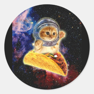 Crazy Space Taco Cat Funny V2  Classic Round Sticker