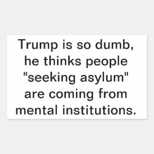 Crazy Trump Mistakes Asylum  Hankamer Artjunkhaus Sticker