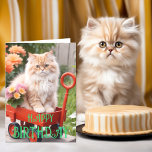 Cream and Ginger Tabby Cat in Red Wagon Birthday Card<br><div class="desc">"Make their birthday 'purrfect' with our adorable tabby cat birthday card! 🐾 Featuring a charming cream and ginger tabby kitten with orange daisy flower detail inside, it's a delightful choice for cat lovers. Inside, you'll find a heartfelt birthday wish that you can personalize to add your personal touch. Send warm...</div>