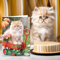 Cream and Ginger Tabby Cat in Red Wagon Birthday