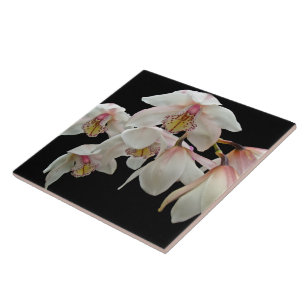 Cream and Pink Orchids on Black Tile