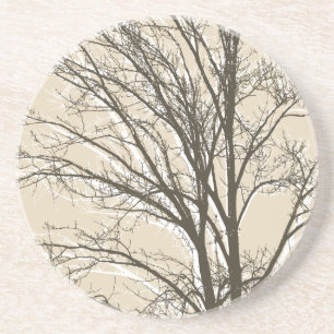 Cream Beige Brown White Tree Branches Coaster