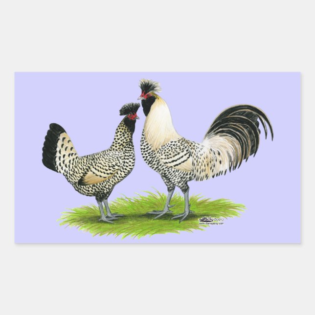 Cream Brabanter Chickens Sticker (Front)