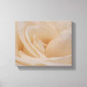 Cream Colored Rose Closeup Canvas Print