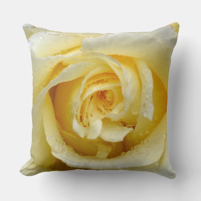 Cream colored rose throw pillow (Front)