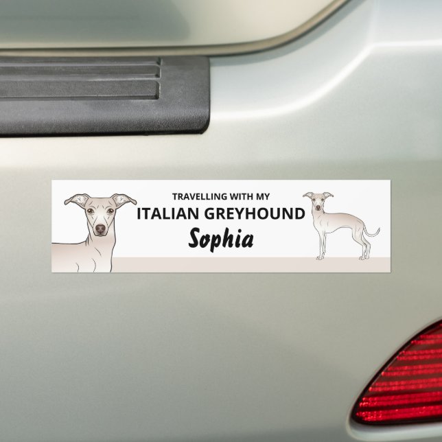 Cream Colour - Travelling With My Italian Greyhoun Bumper Sticker (On Car)