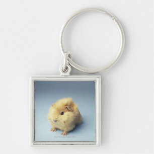 Cream coloured Guinea pig Keychain