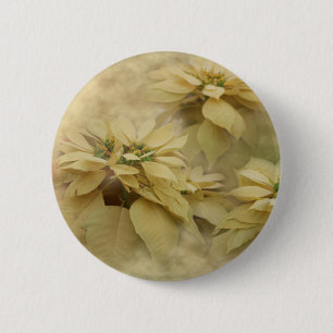 Cream Coloured Poinsettias Digital Art 2 Inch Round Button