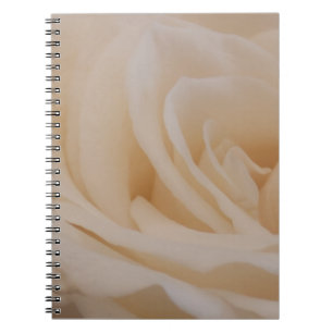 Cream Coloured Rose Closeup Notebook