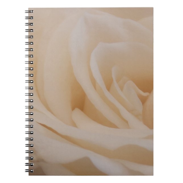 Cream Coloured Rose Closeup Notebook (Front)
