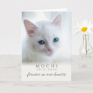 Cream Forever In Our Hearts Pet Loss Cat Memorial Card