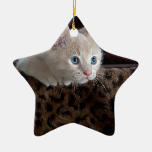 Cream Kitten with Beautiful Blue Eyes Ceramic Ornament
