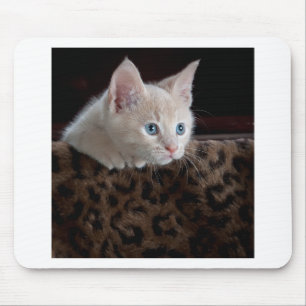 Cream Kitten with Beautiful Blue Eyes Mouse Pad