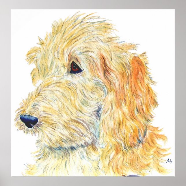 Cream Labradoodle #2 Print (Front)