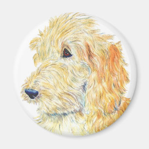 Cream Labradoodle Magnet