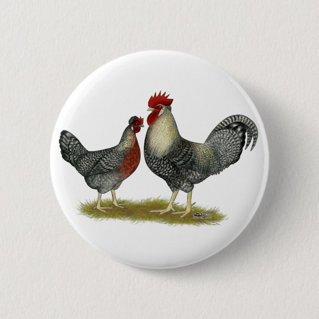 Cream Legbar Chickens 2 Inch Round Button (Front)